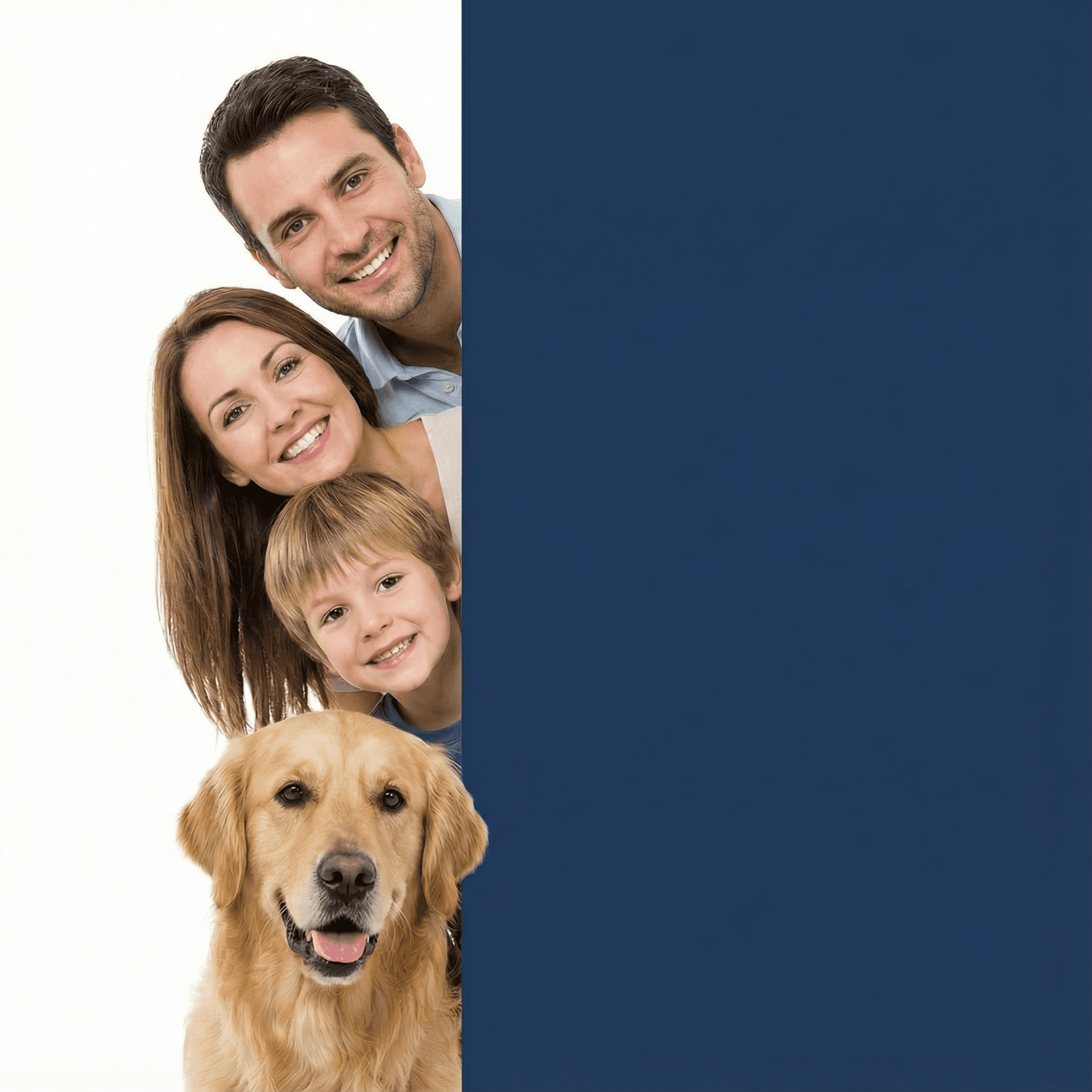 Professional financial consulting